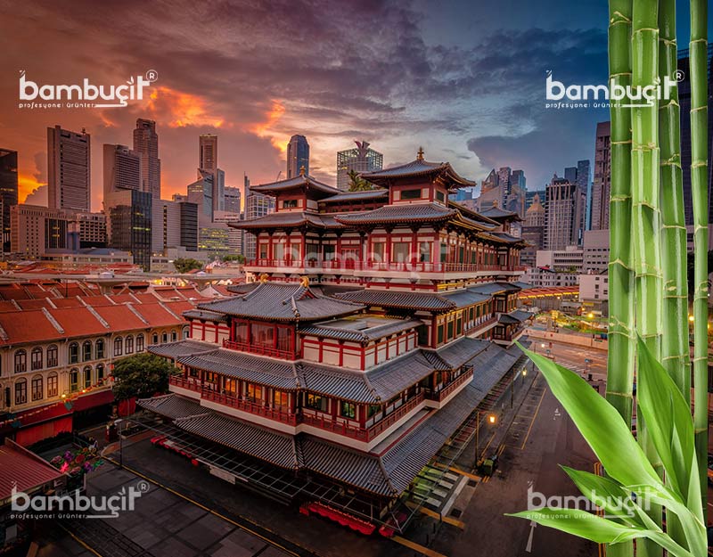 Bambu Nerede Yetişir