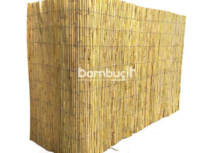 Bambu Kamış