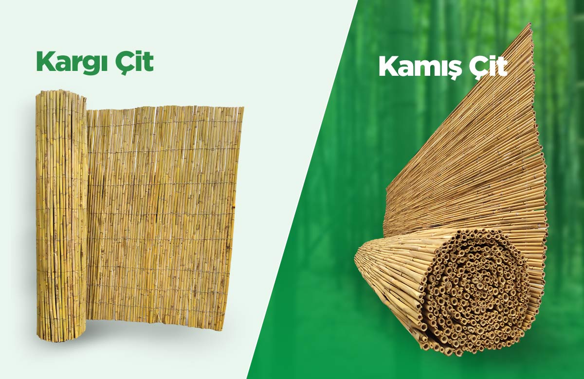 Kargı Çit ve Kamış Çit Arasındaki Farklar