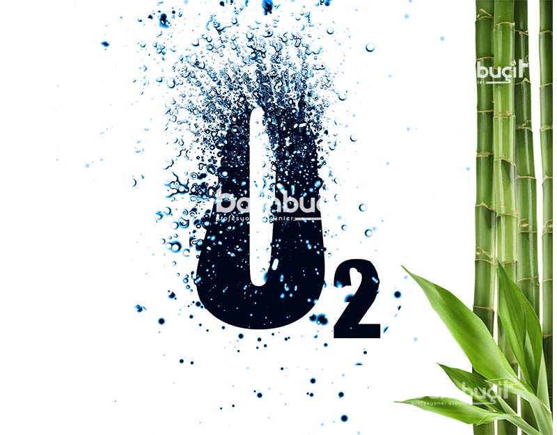 Bambu O2 ve Co2 Dengesini Korur